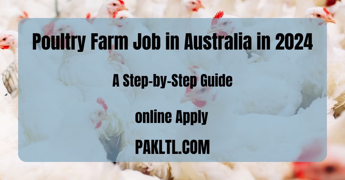 Exciting Poultry Farm Opportunity in Australia in 2024: Apply Now!